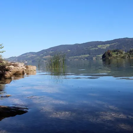 Sterngut-1